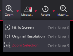 Dynamic Zoom Selection Dicom Viewer